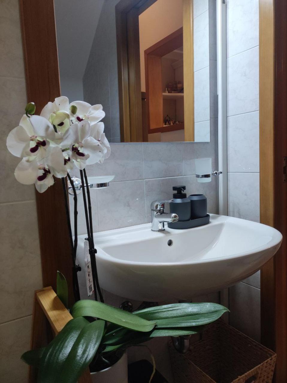 Casa Vacanza Gallipoli Centro 외부 사진